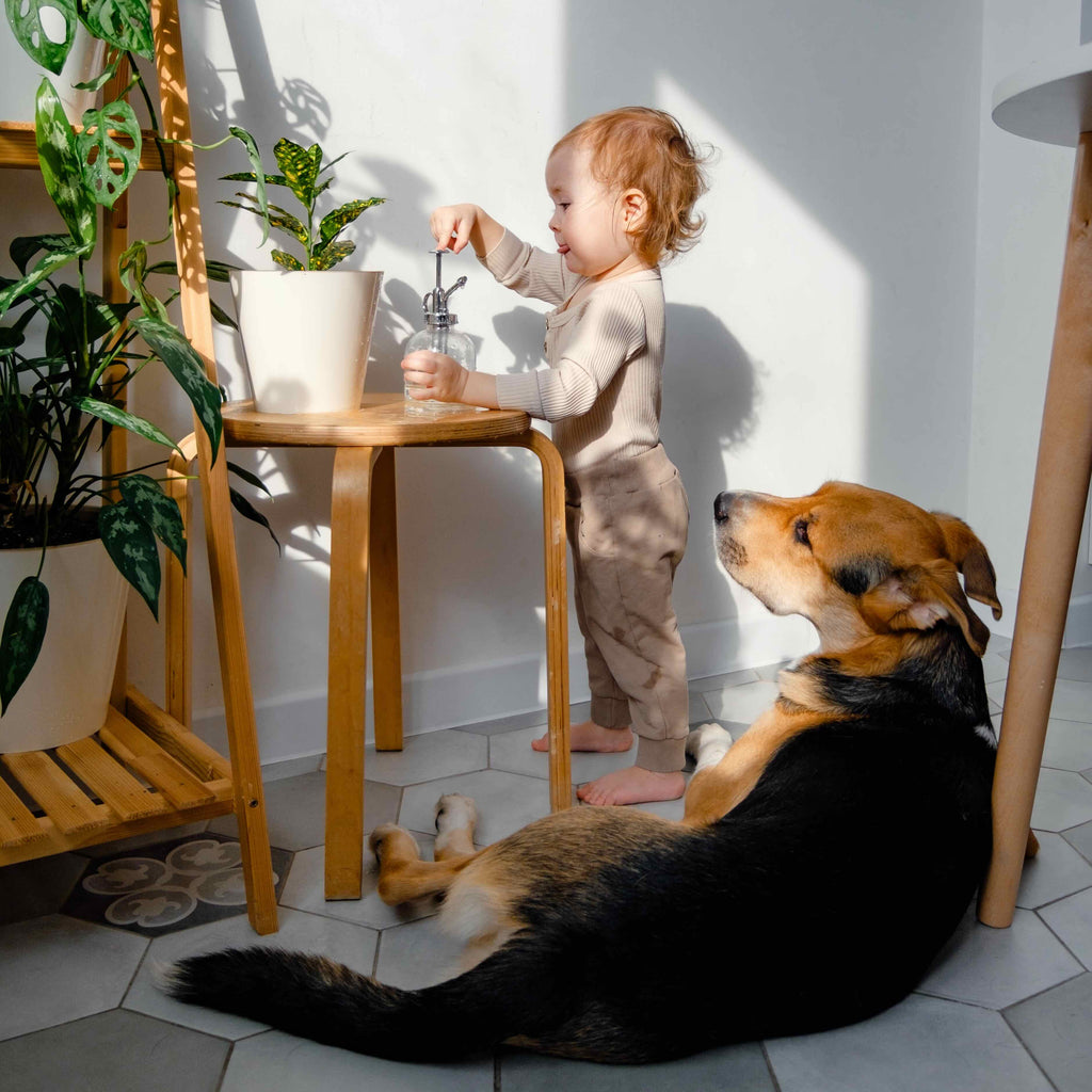 7 Natural Materials for Safe Children's Furniture