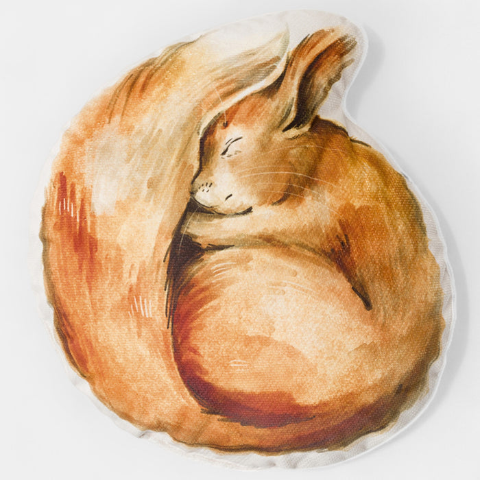 Handmade Squirrel Child Cushion